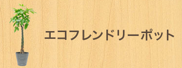 エコフレンドリーポット付