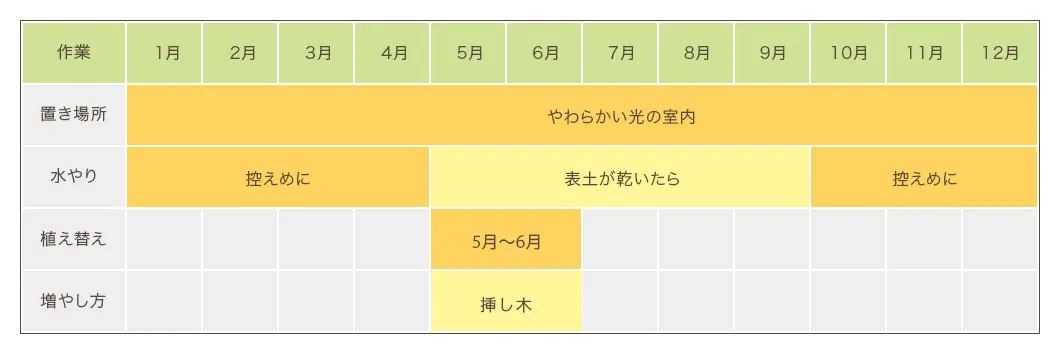 ファグラエア栽培カレンダー　置き場所・水やり・植え替え・増やし方