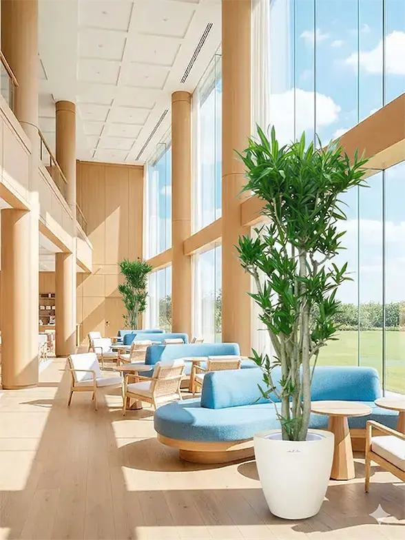 ソングオブジャマイカ 大鉢Lサイズ ラスターポット付