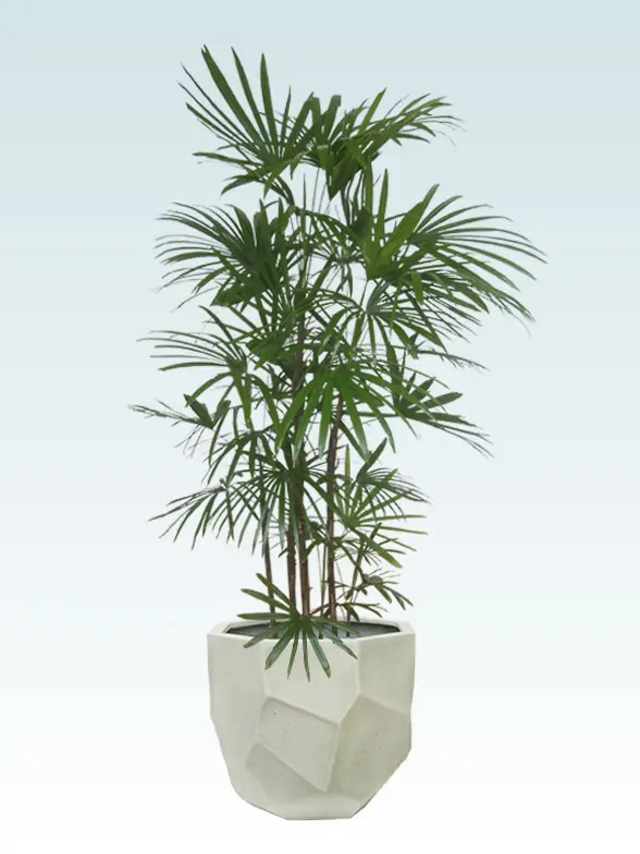 シュロチク 大鉢Lサイズ 多面体型、グラスファイバー製鉢カバー付