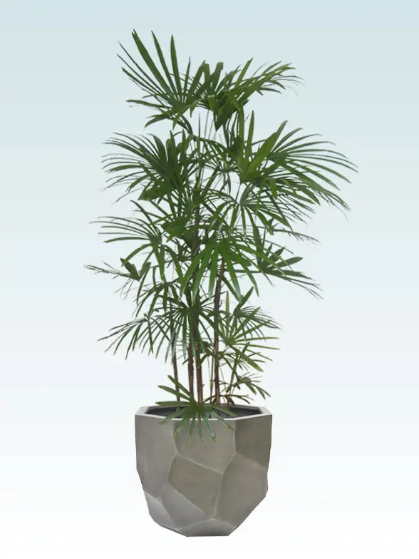 シュロチク 大鉢Lサイズ 多面体型、グラスファイバー製鉢カバー付